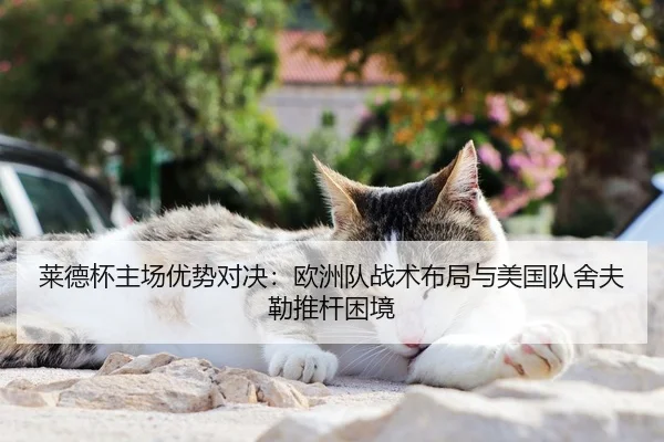 莱德杯主场优势对决：欧洲队战术布局与美国队舍夫勒推杆困境