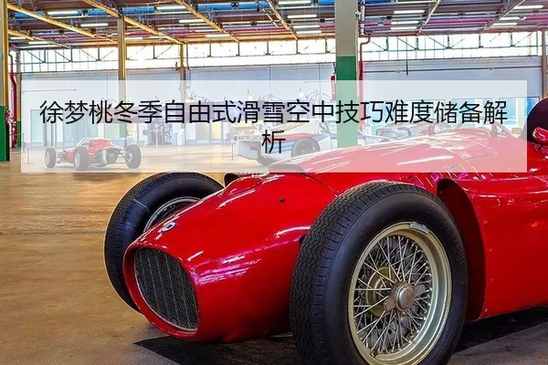 徐梦桃冬季自由式滑雪空中技巧难度储备解析